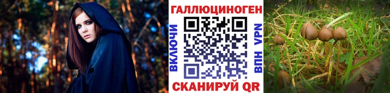 что такое наркотик ОМГ ОМГ рабочий сайт Псилоцибиновые грибы прущие грибы Богданович